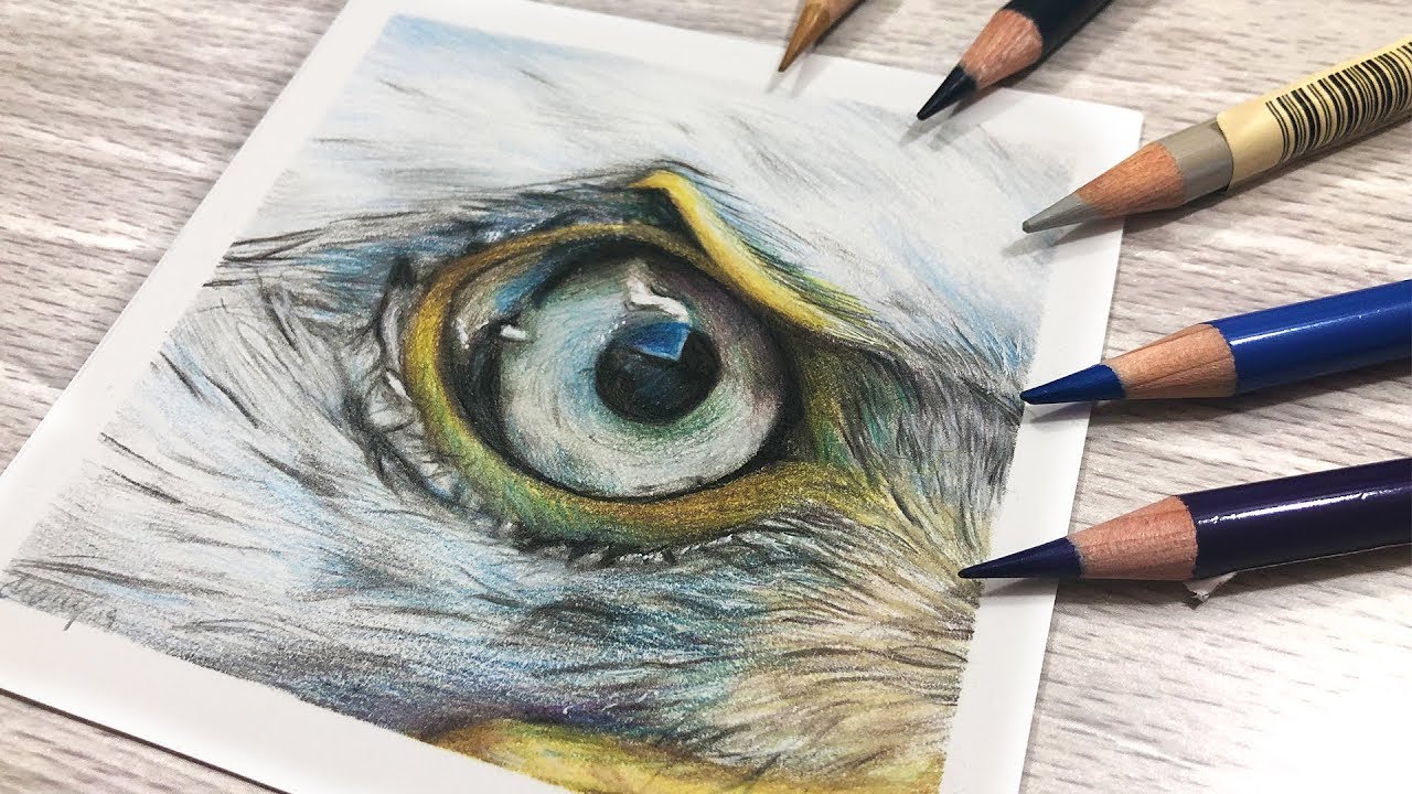HOW TO DRAW WHITE FEATHERS with COLORED PENCIL
