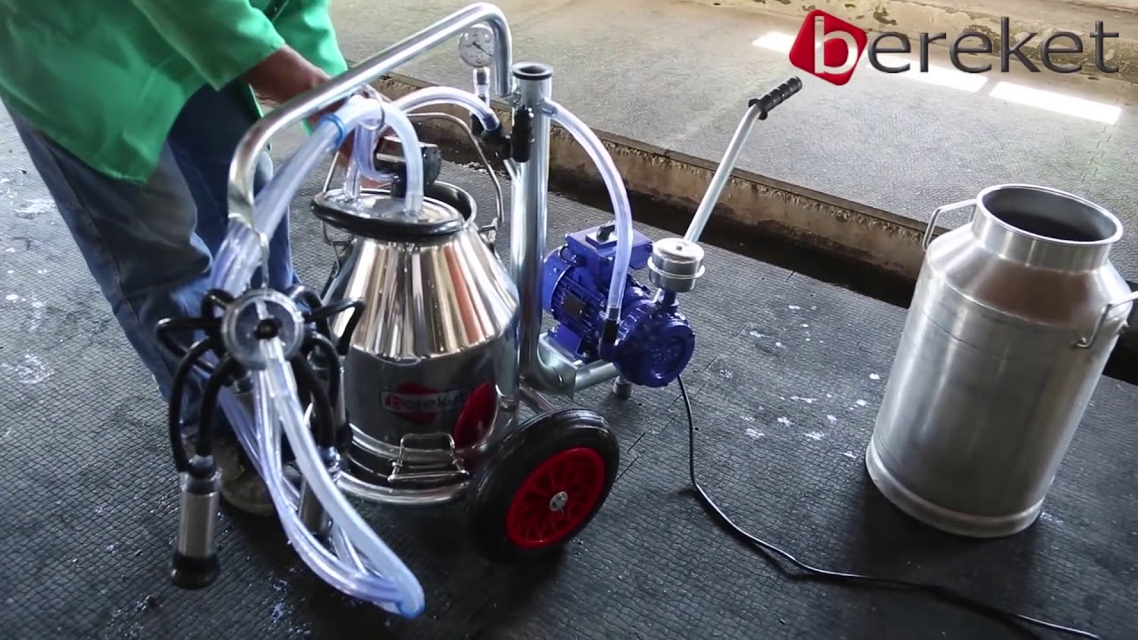 Good Quality Single Bucket Trolley  Milking Machine(Krishna Industries)