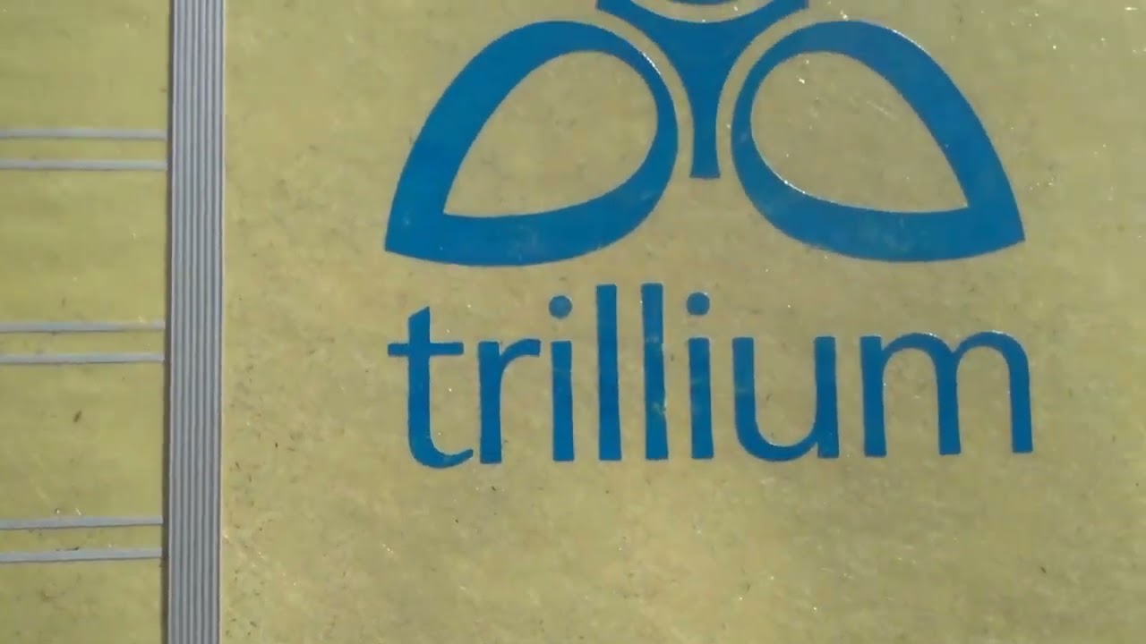 Trillium Project Part7
