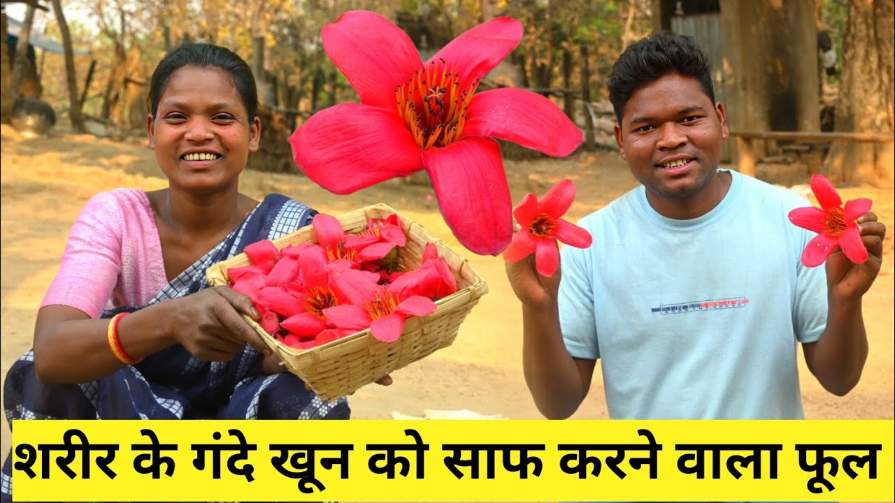 शरीर के गंदे खून को साफ करने वाला फूल सेमल फूलों की सब्जी कैसे बनाएं @josphinavlogs 
