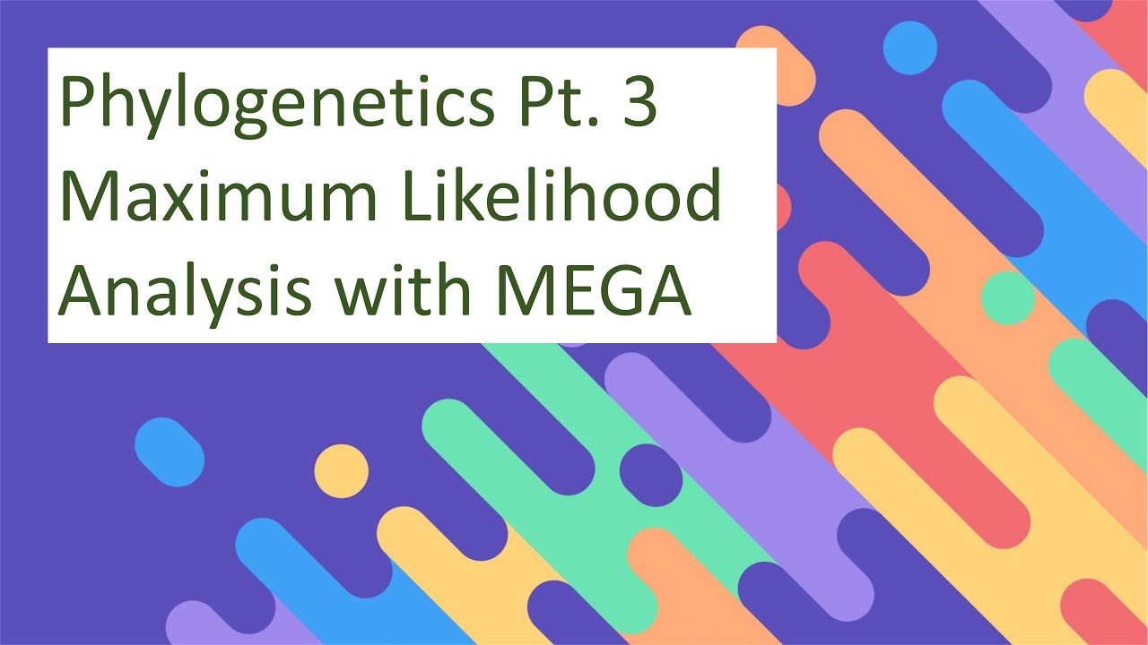Phylogenetics Tutorial - Maximum Likelihood Analysis with MEGA