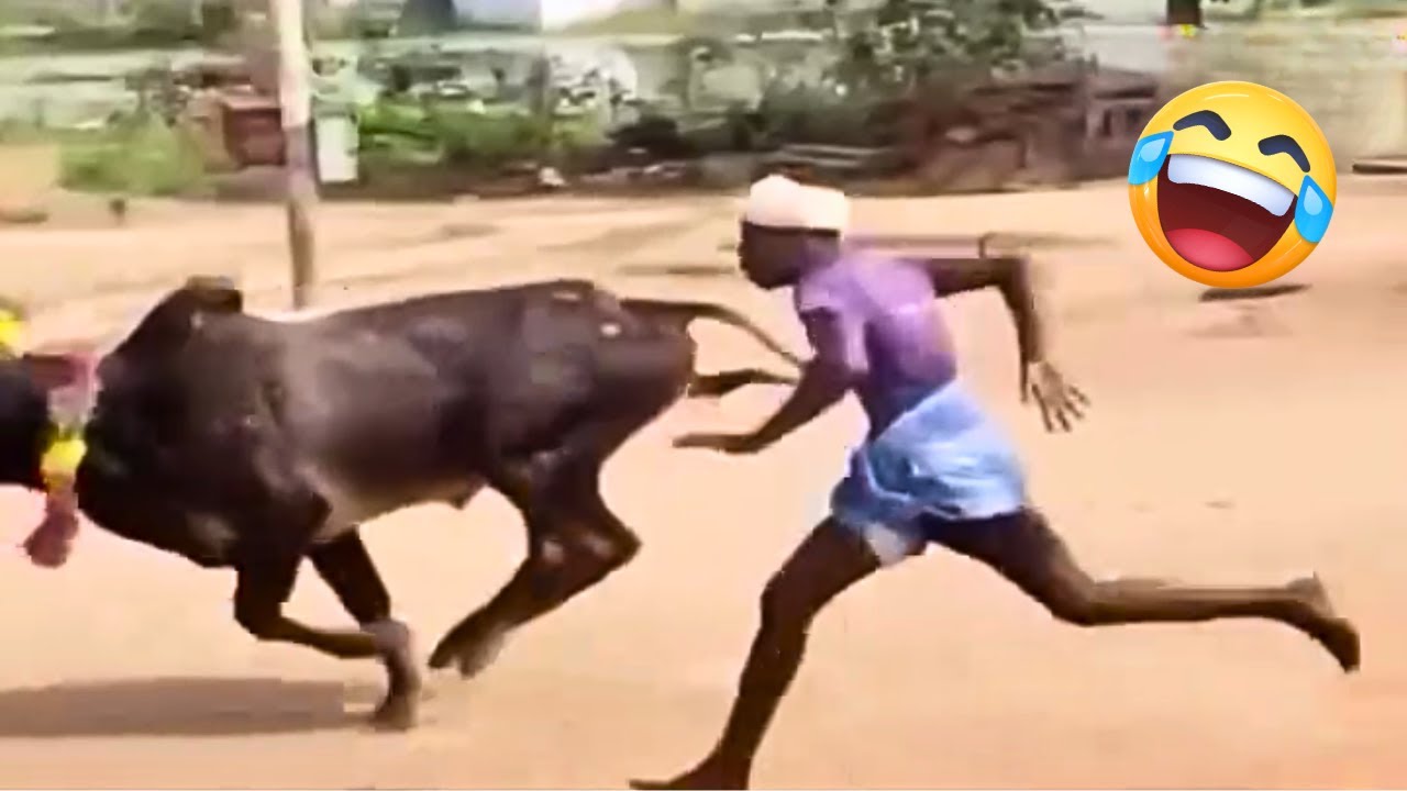 TENTE NÃO RIR 😂😁 Compilado De Momentos Engraçados Virais Da Internet 2025 #21