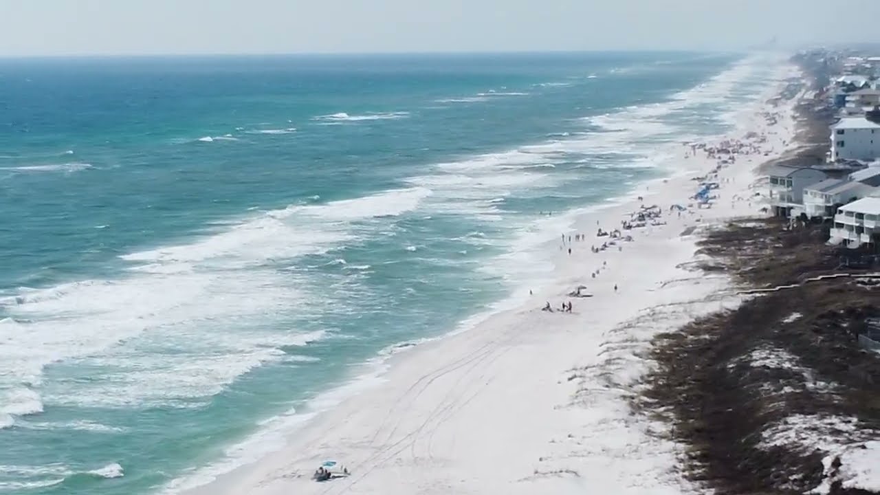 Camp Helen State Park