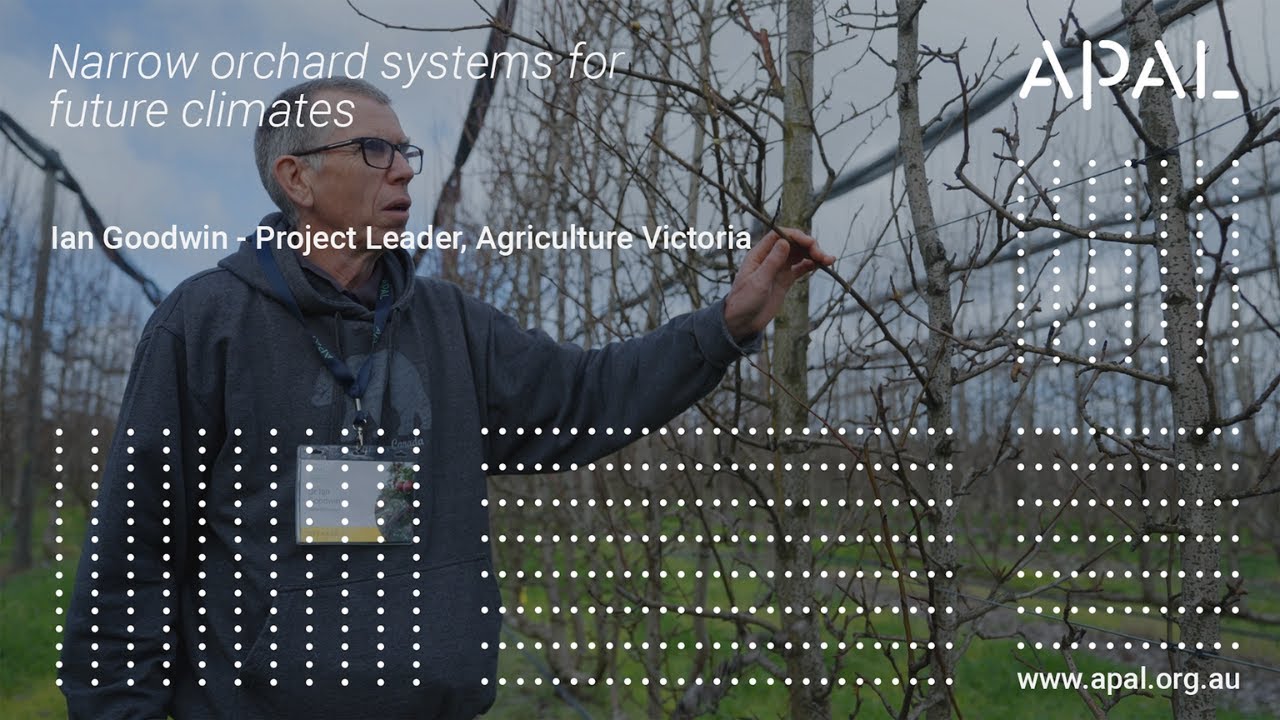 Narrow orchard systems for future climates