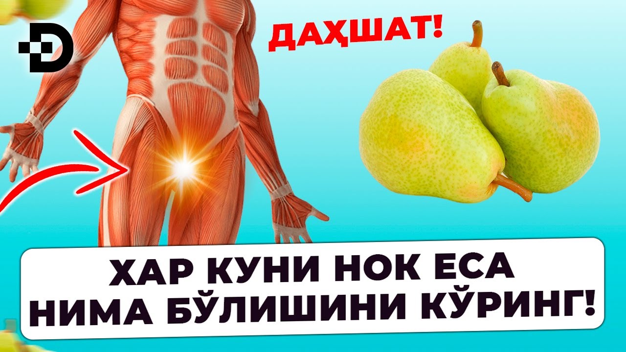 ХАР КУН НОК ЕСА НИМА БЎЛАДИ? НОКНИНГ ФОЙДА ВА ЗАРАРИ.