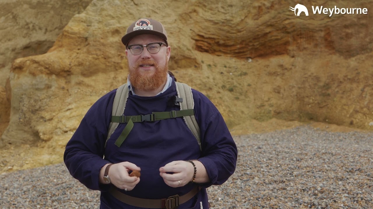 The Rocks of North Norfolk's Deep History Coast