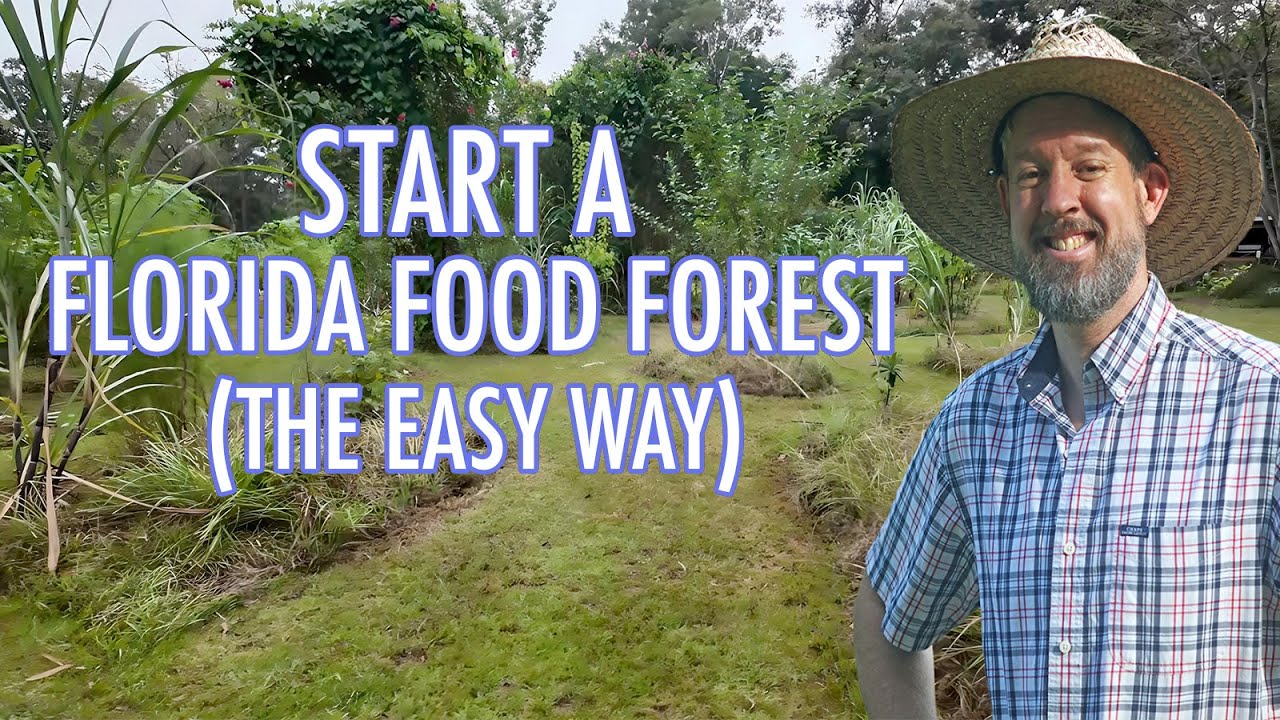 Start a Florida Food Forest - the Easy Way! (Complete Presentation)