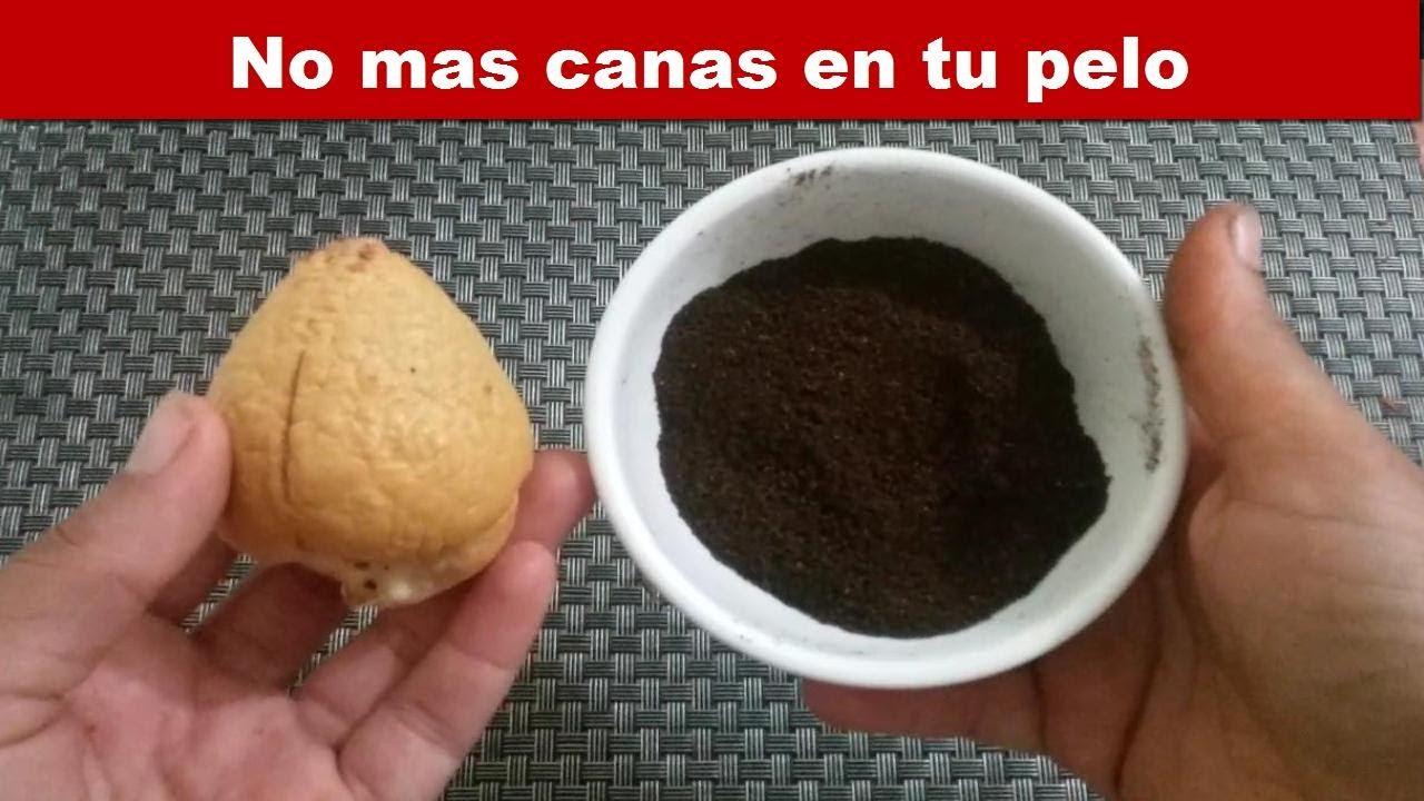 No imagine que con la semilla de aguacate y café podía cubrir las canas en mi cabello