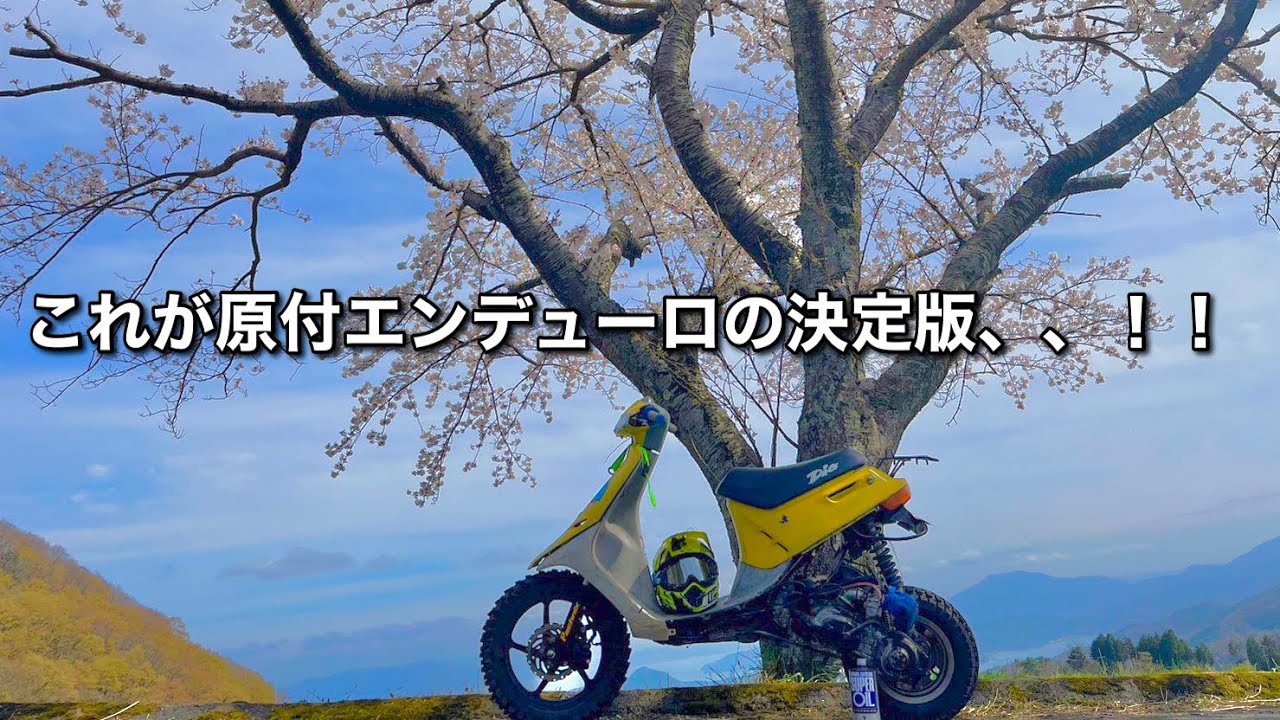 ディオ林道最強形態