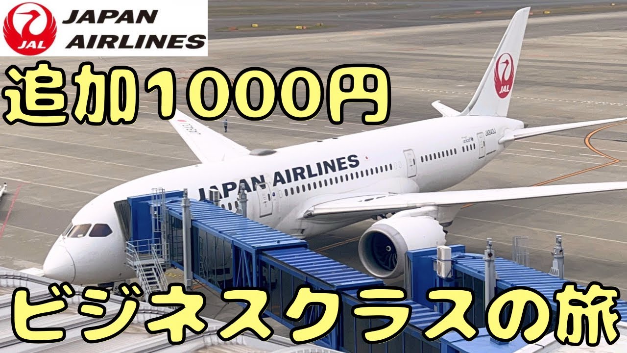 搭乗率は？ 名古屋→東京を飛行機で移動したら機材が...