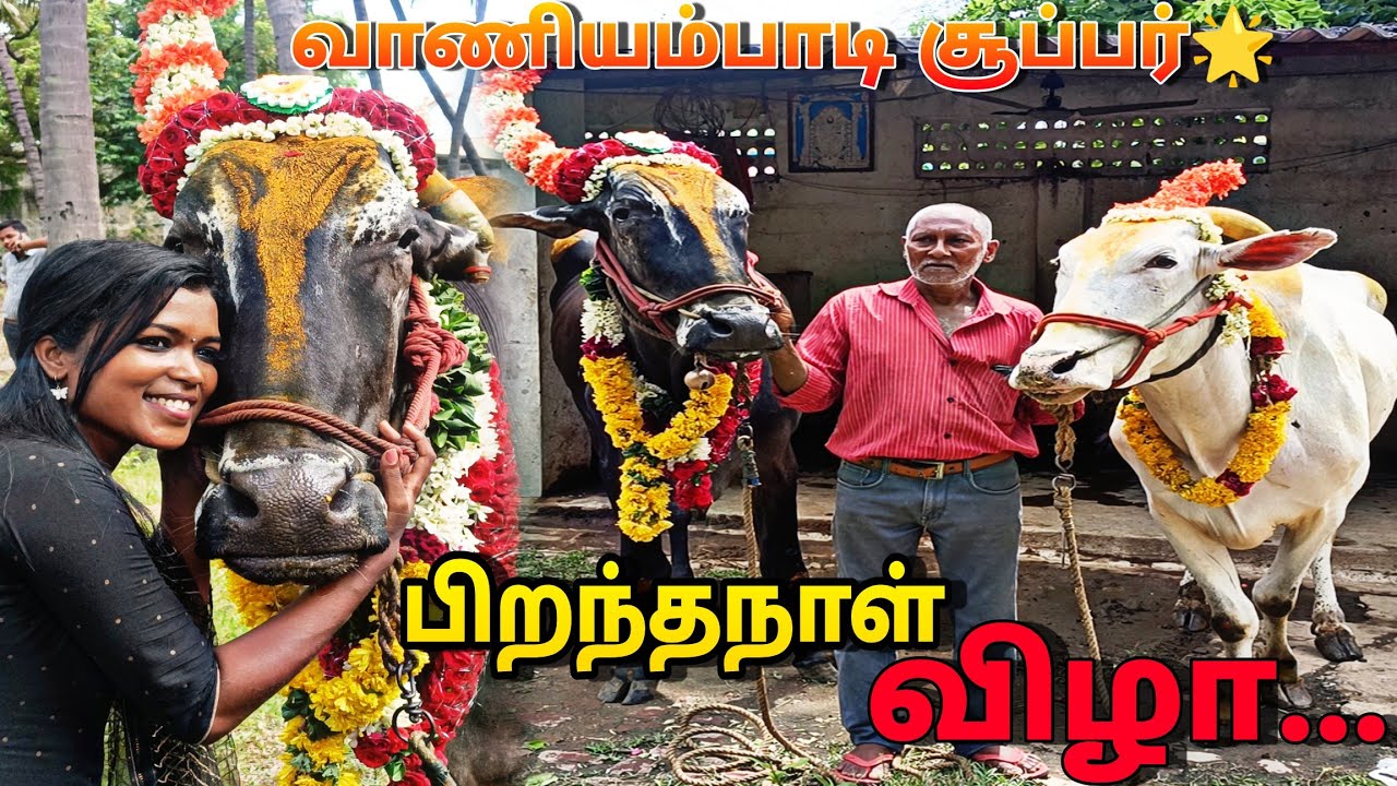 vaniyambadi super star💫  birthday2022...🥳🎂🤩