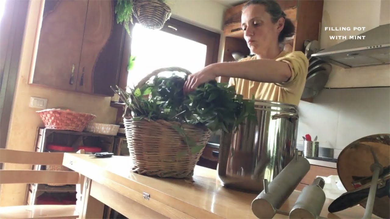 Mint distillate /distillato di menta