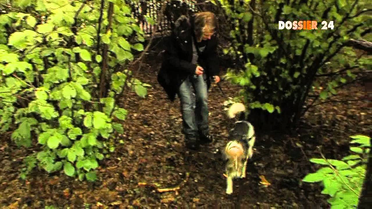 Dossier 24: Unterwegs auf Trüffeljagd - Teil 2