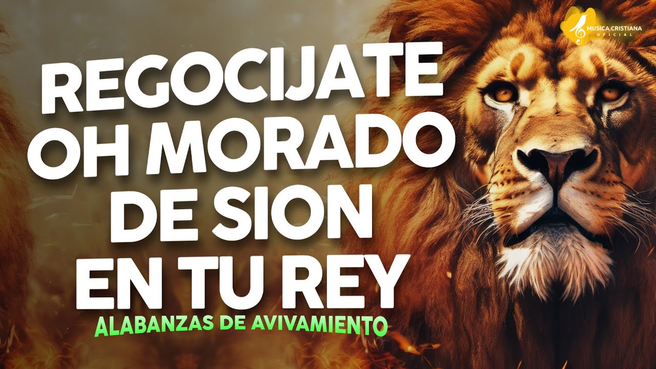 OH MORADORA DE SION 👑 ALABANZAS QUE TRAEN ALEGRIA Y BENDICIONESA TU CASA 🎉 MUSICA DE JUBILO