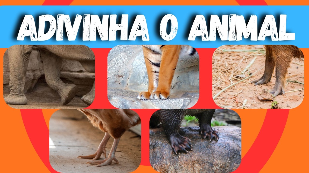Adivinha o Animal Pela Pata 🐾👀 | Você Consegue Descobrir queméoanimal? - desafio quiz D +