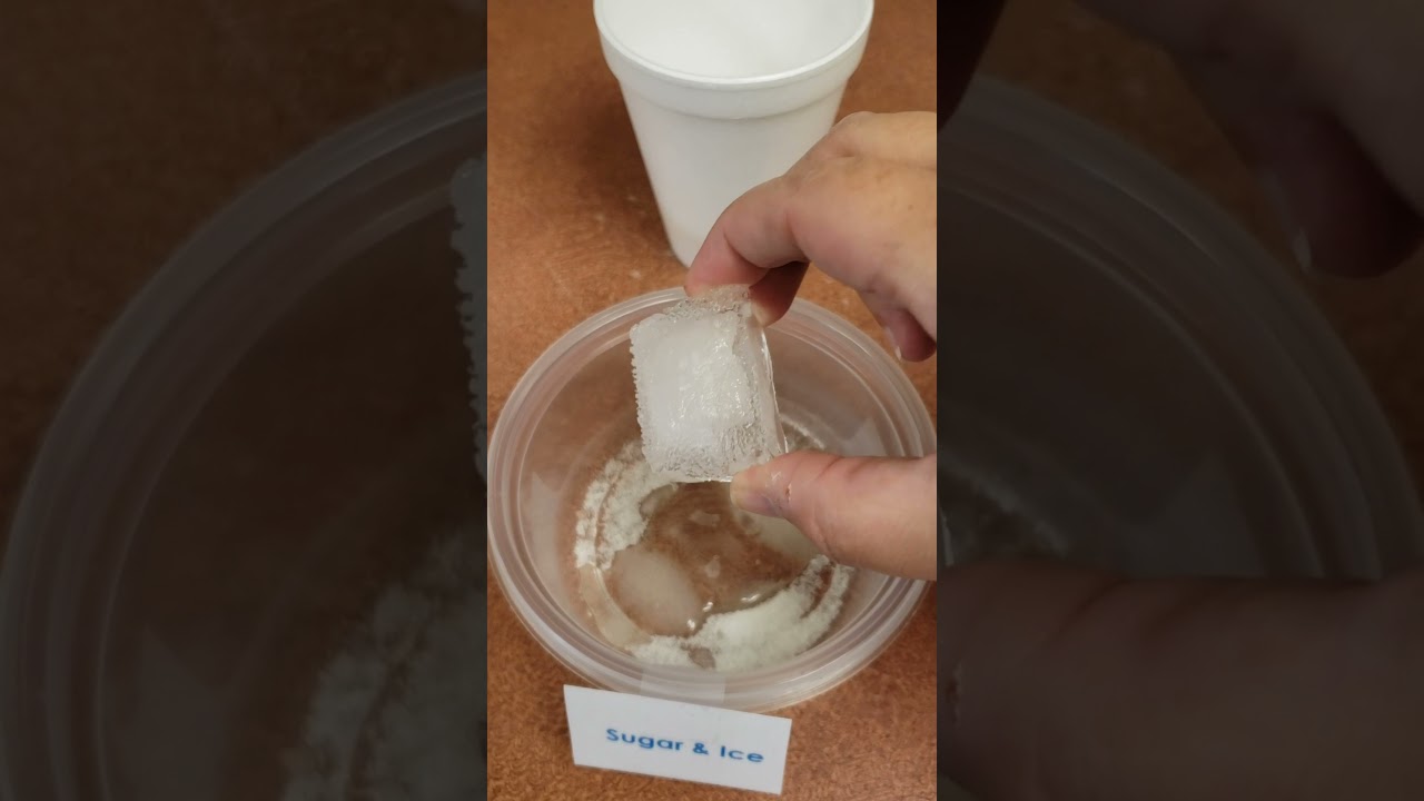 which Ice Melts the Fastest?