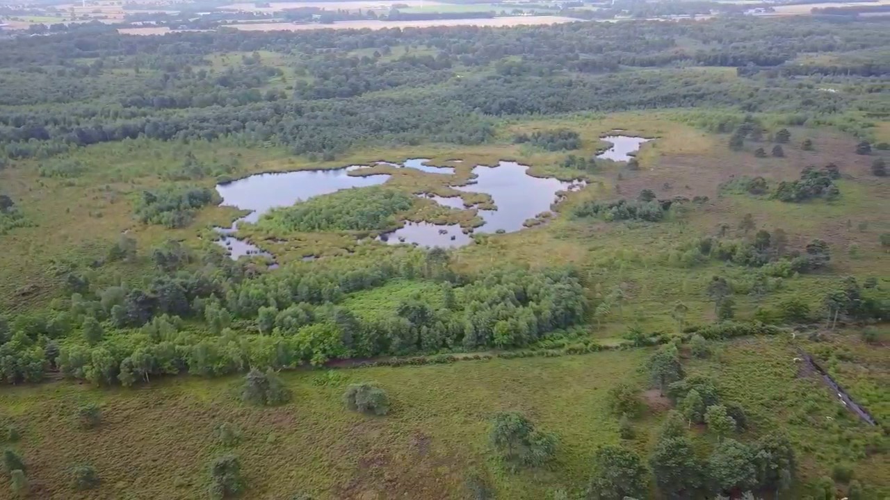 Skipwith Common - from 400ft