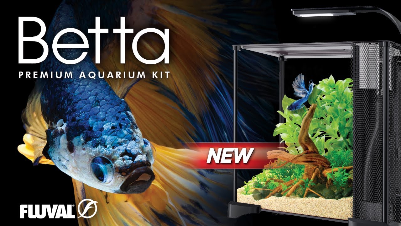 THE ULTIMATE BETTA TANK | Fluval 6 US Gal / 22 L Betta Kit