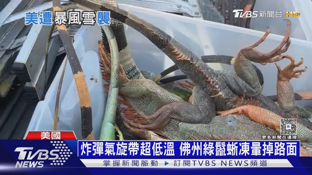 奧蘭多比格陵蘭冷! 炸彈氣旋襲美東 北卡積雪比均值多5倍｜十點不一樣20260202@tvbsnews24live