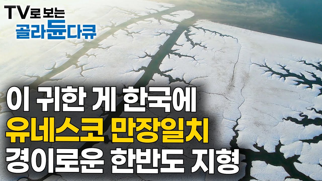 딴 데서는 볼 수도 없는 한국의 기가 막힌 자연 환경｜유네스코 만장일치 한반도 갯벌｜특집 다큐｜#골라듄다큐