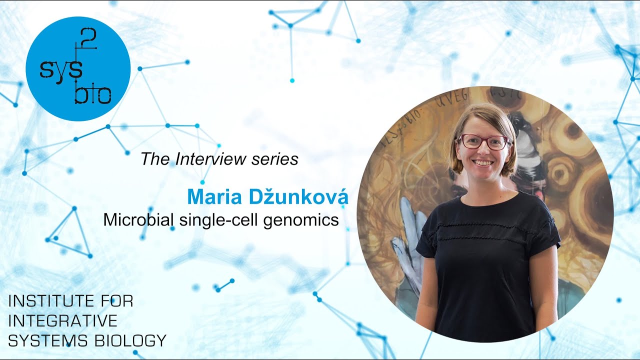 Interview of Maria Dzunkova, Principal Investigator of Microbial single-cell genomics group