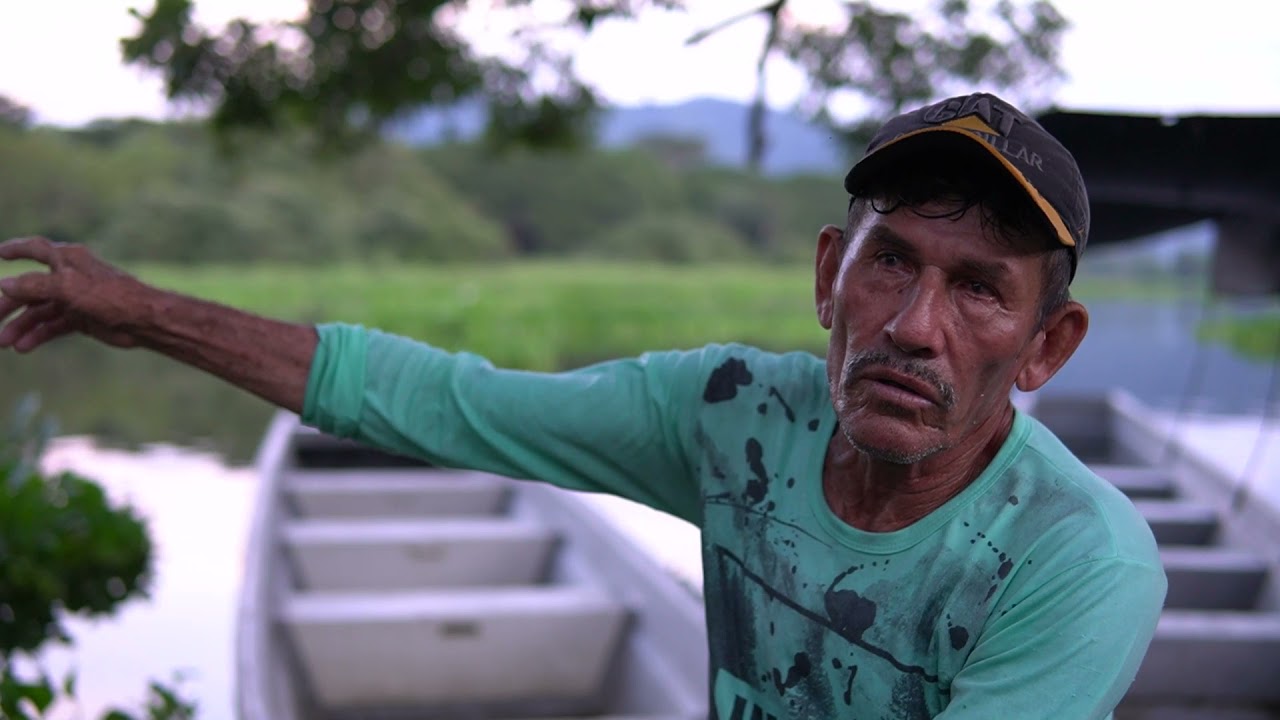 #ViajeAlCoraz&oacute;nDelEjeCafetero La charca de Guarinocito, sustento para canoeros y pescadores