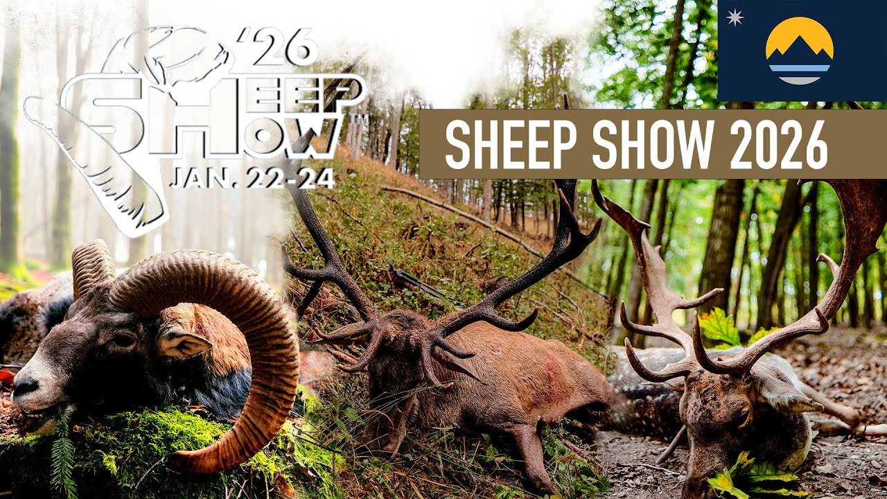 Sheep Show 2026 &ndash; Reno