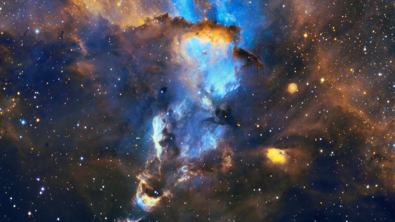 2022 &mdash; Year in Search