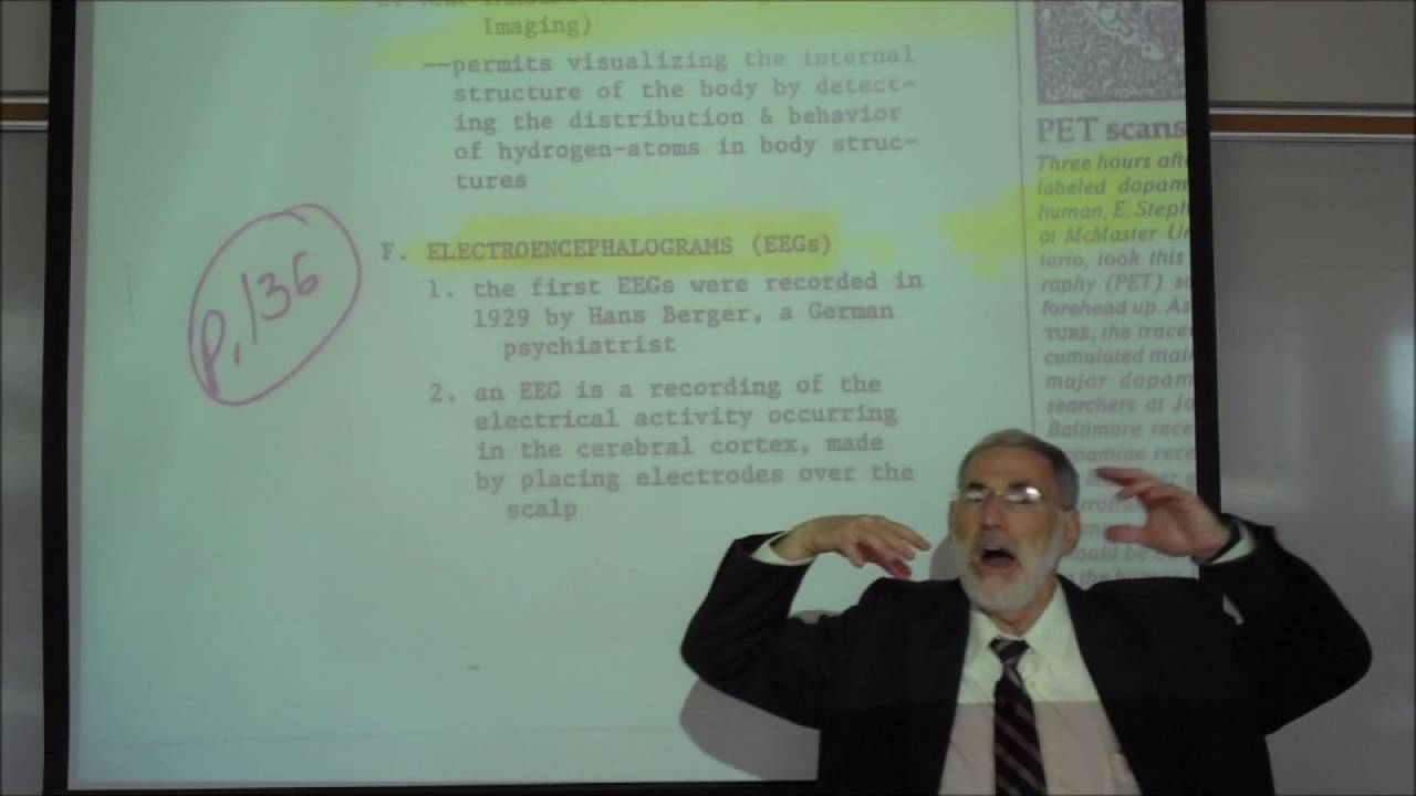 THE BRAIN; IMAGING, EEG RECORDINGS & SLEEP STUDIES by Professor Fink