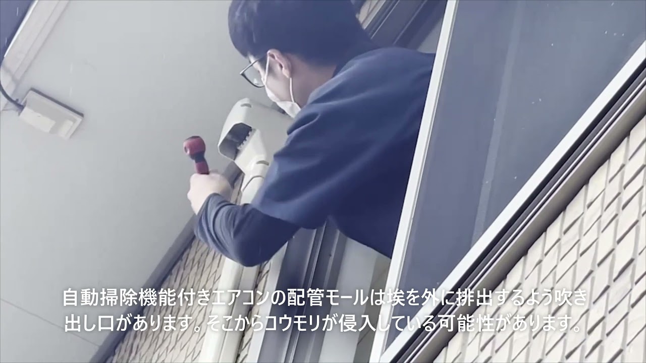 エアコンからコウモリの糞？