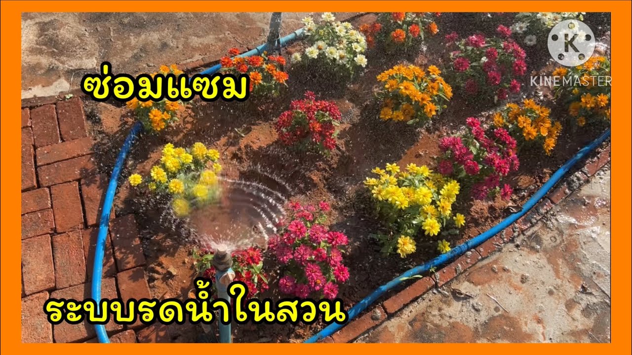 ซ่อมแซมระบบน้ำในสวน🪴🐶🐶🪴