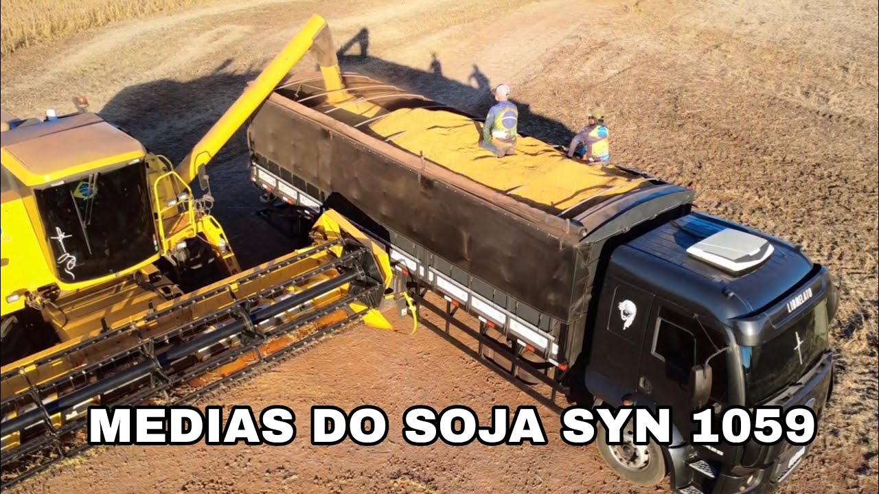Médias finais da colheita do soja SYN 1059