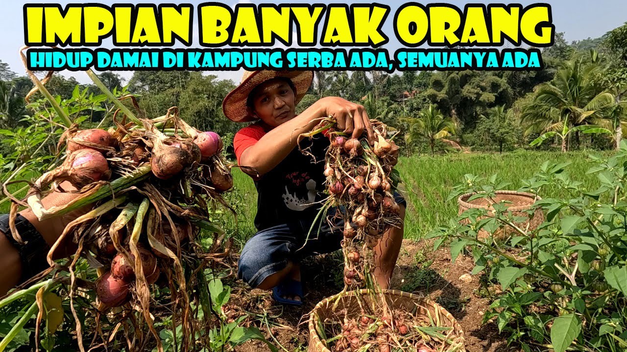 BANYAK ORANG INGIN SEPERTI INI, HIDUP DI KAMPUNG BERKEBUN DAN SERBA ADA, KEHIDUPAN DI PEDESAAN
