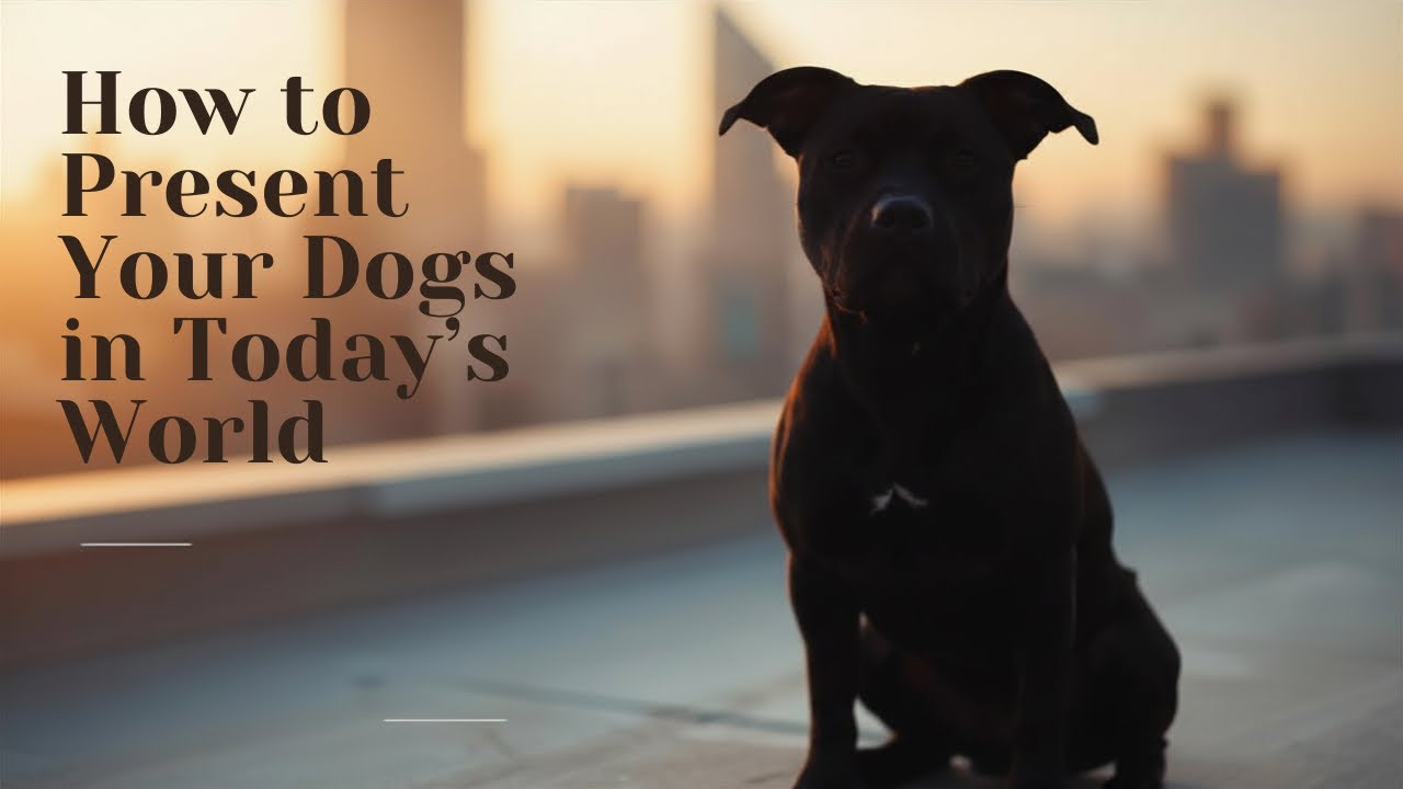 How To Present Your Dogs In Today's World 