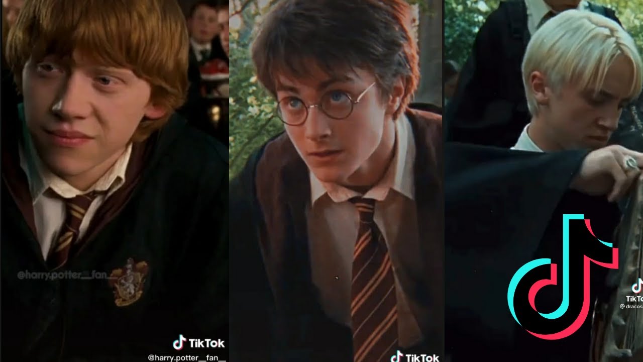 Harry Potter Tiktok Compilation | that will give you butterflies (❁´◡`❁)