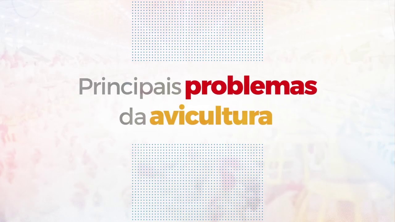 AGROCERES AGPRO. CH&Aacute;CARA LIBERDADE CONTATO 62 98531-4096