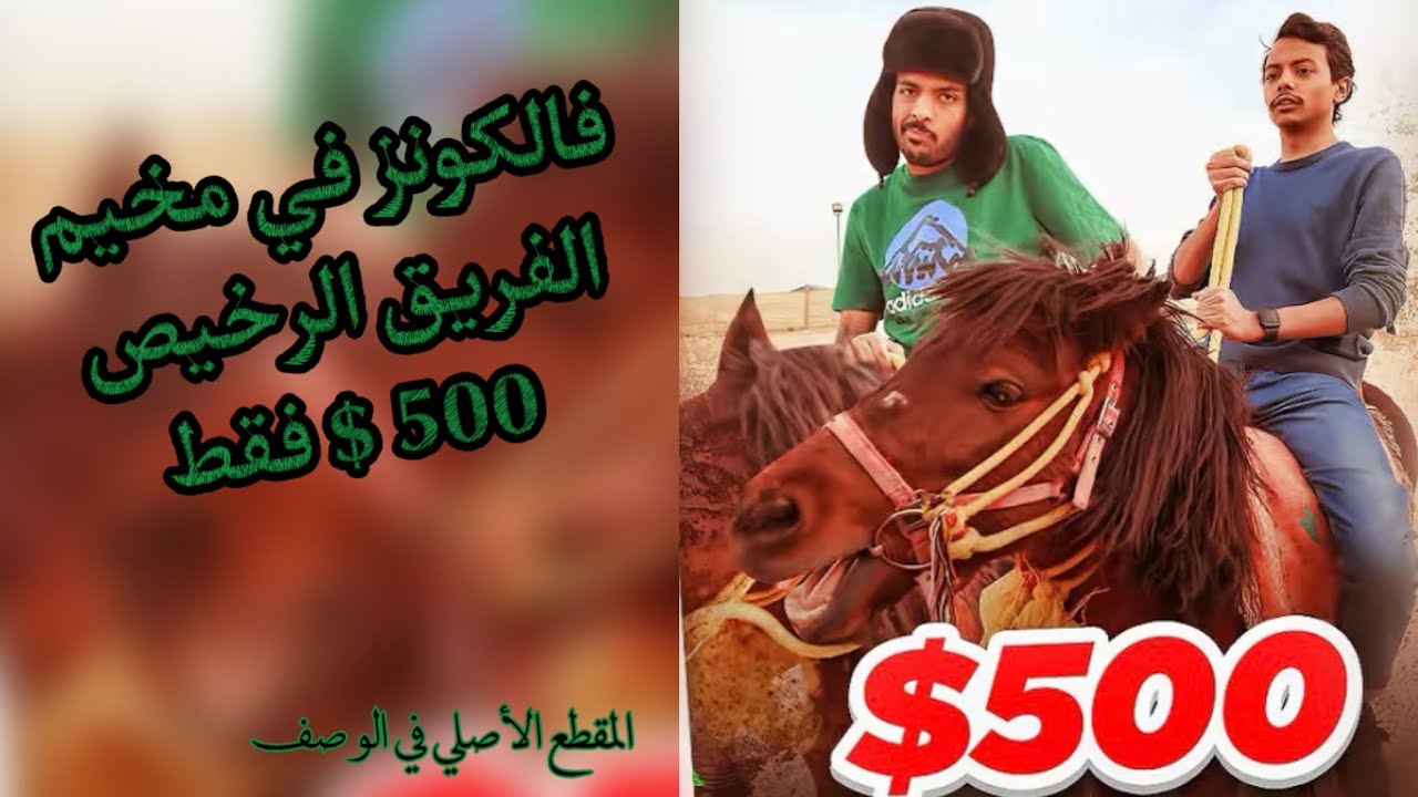 فالكونز في مخيم /الفريق الرخيص 500$ فقط