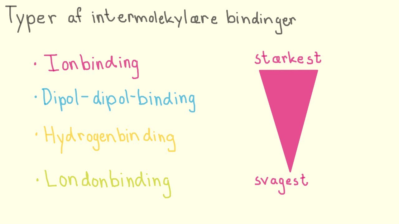Intermolekylære bindinger | Biotech Academy