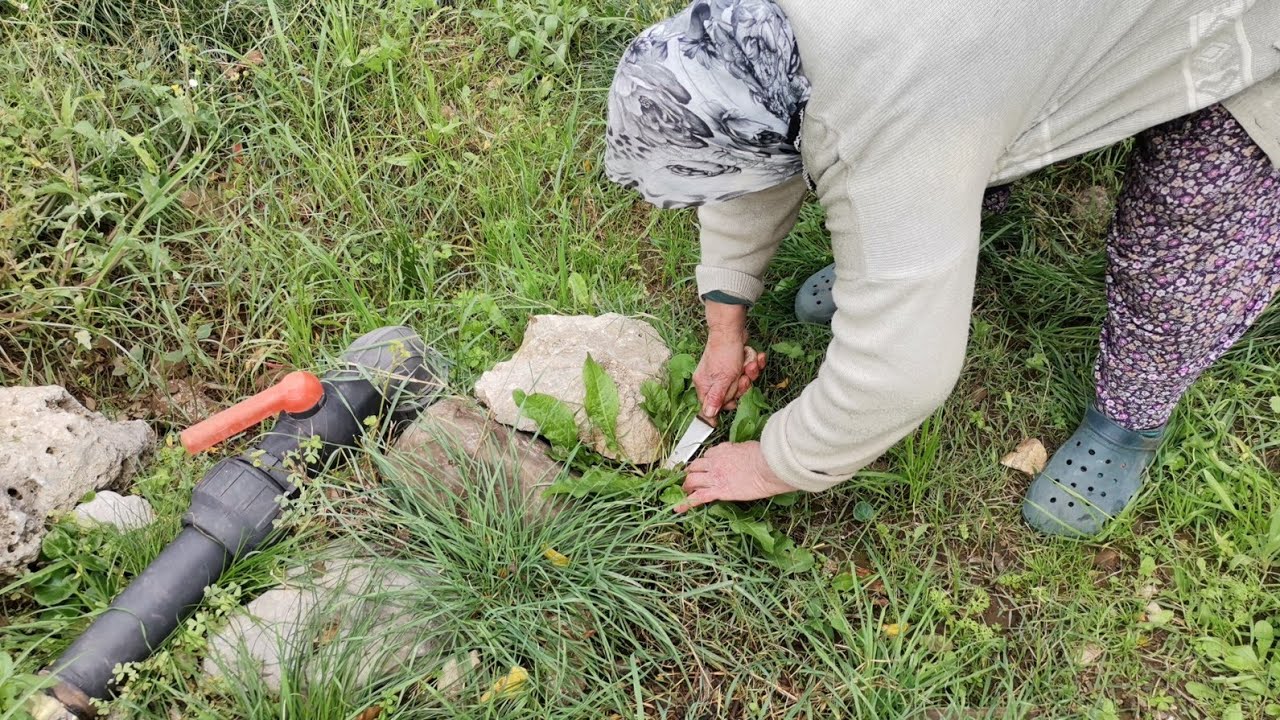 🌄🌿OTLARI GÖRÜNCE DAYANAMAYAN ANNEM VE BEN🌿