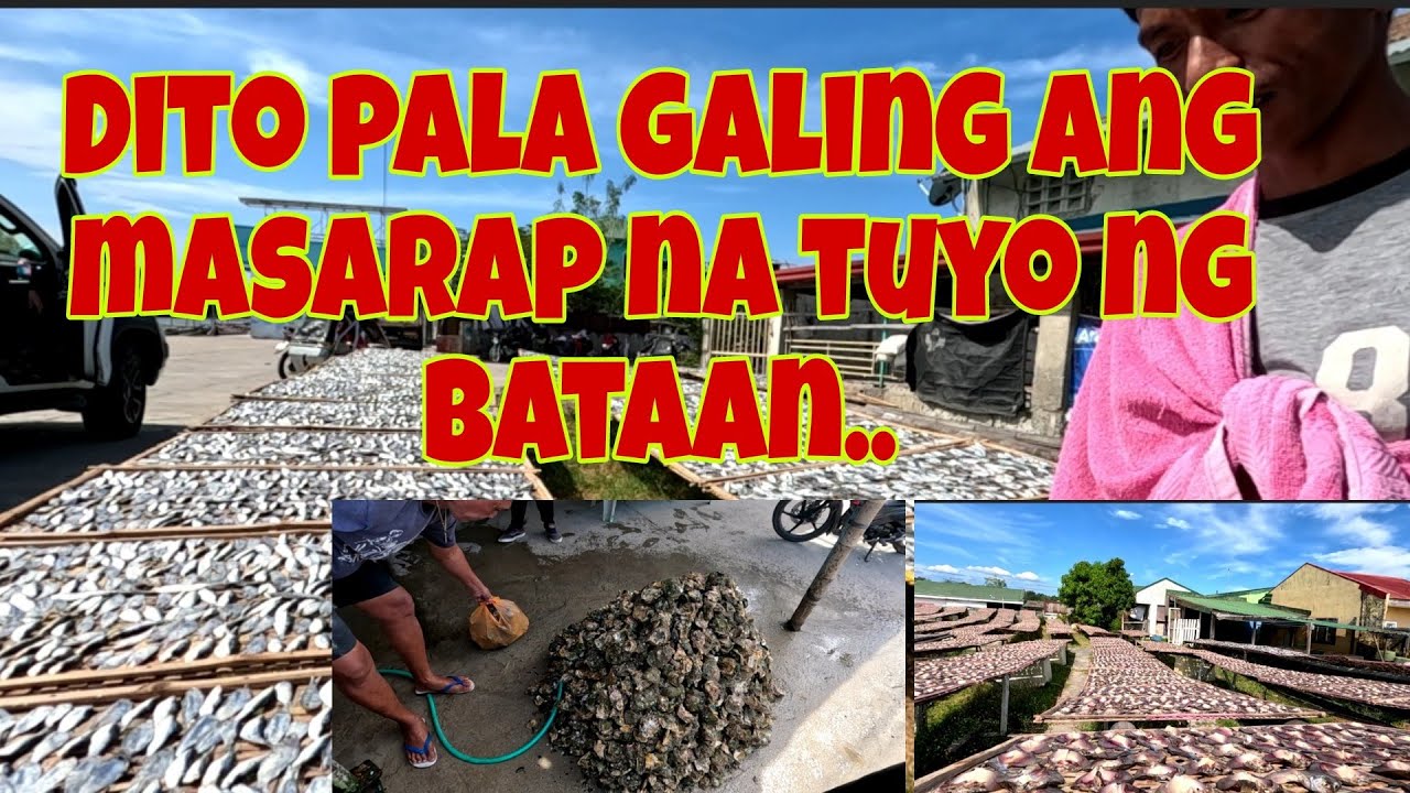 Pagawaan ng tuyo sa Balanga bataan | Bilihan ng Talaba sa samal bataan