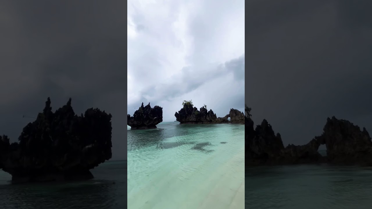 Pulau auri teluk wondama 🪸🏝️🐢 #wasior #telukwondama #manokwari #papua #papuabarat #story #fyp