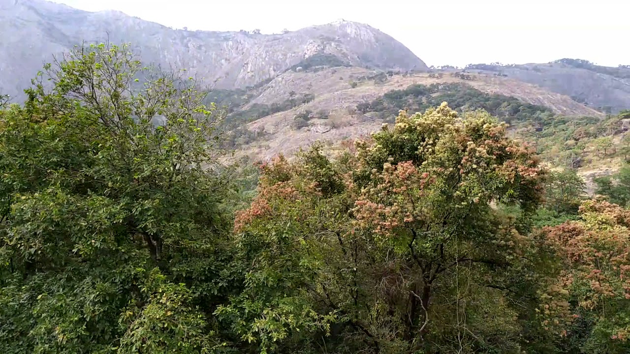 Kerala Border