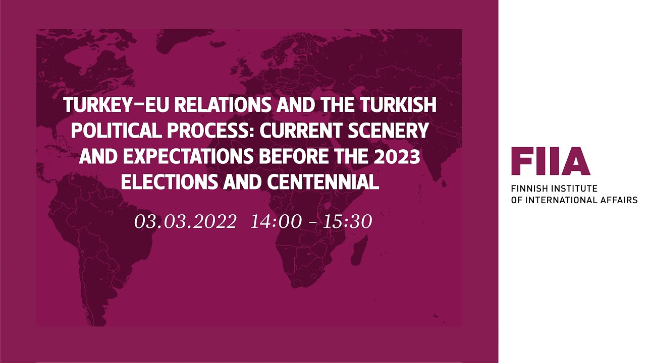 Turkey-EU relations and the Turkish political process