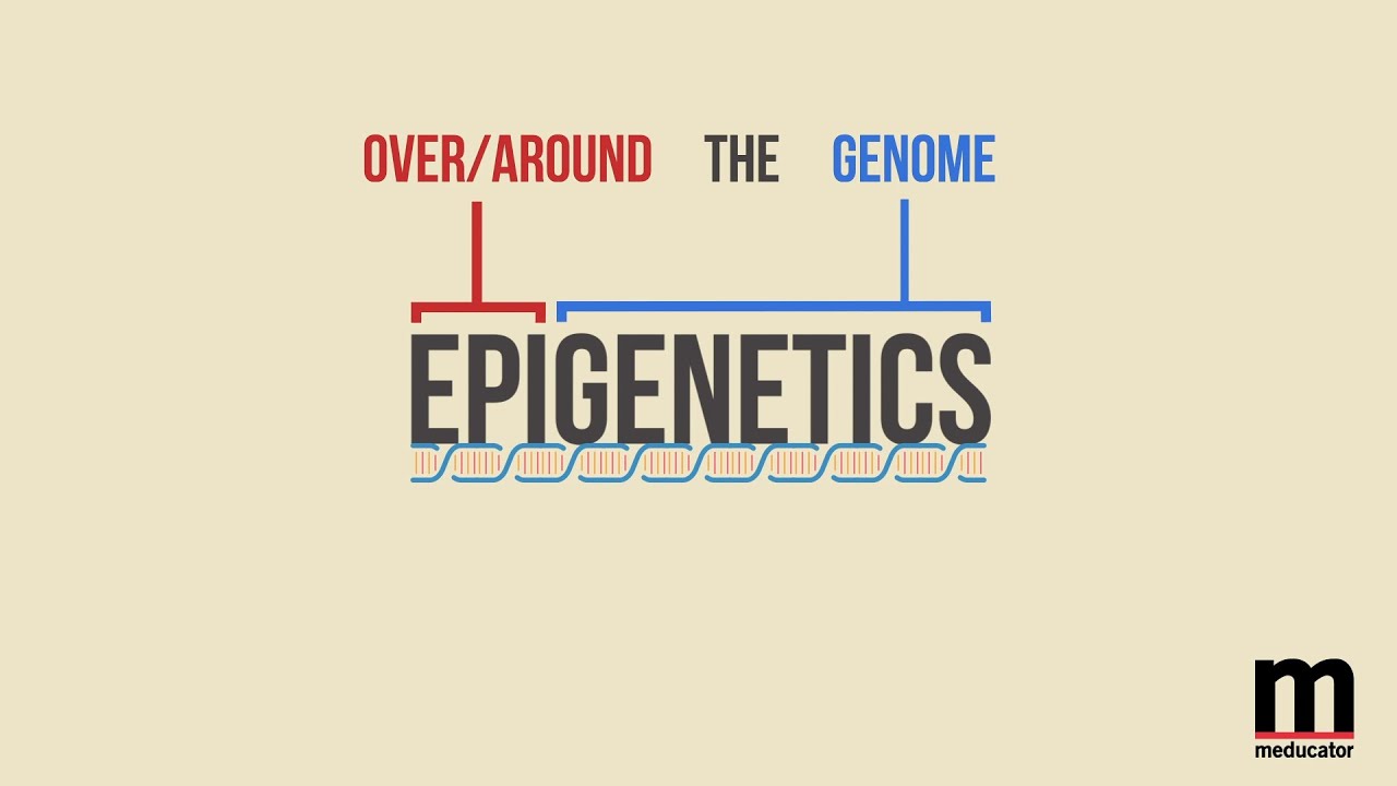 Epigenetics and Depression