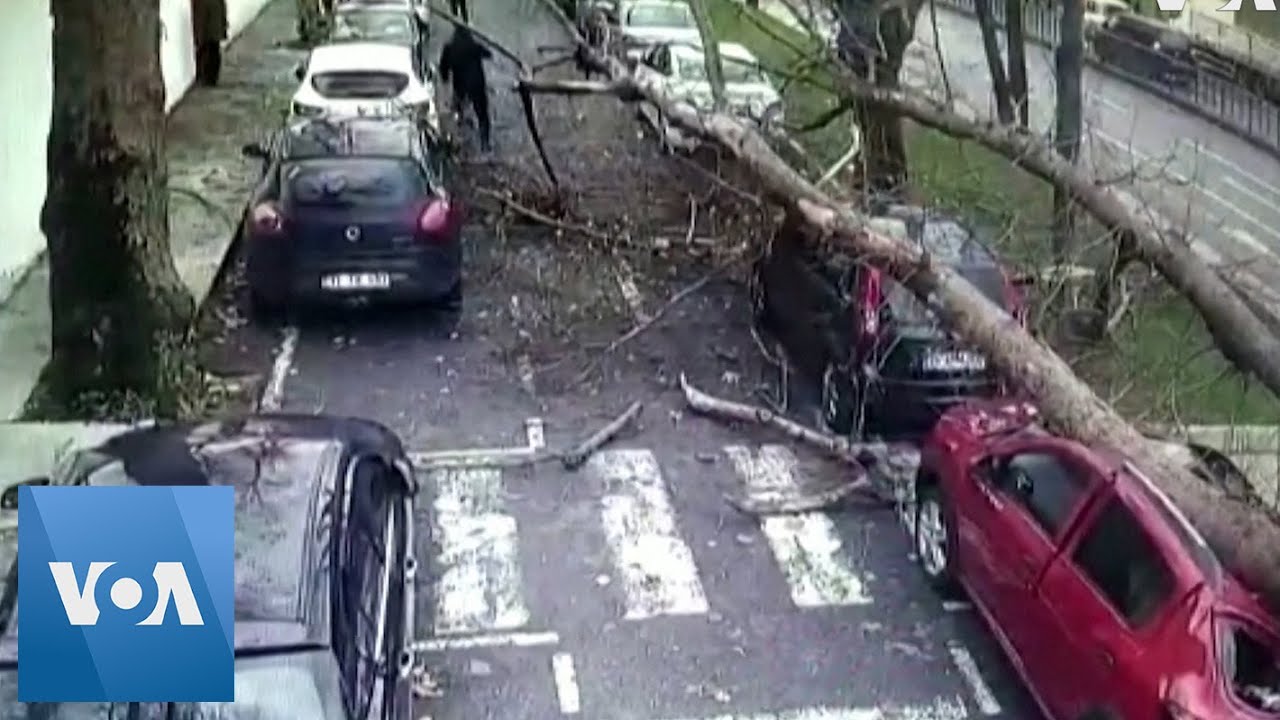 CCTV Footage of Tree Falling on Cars and People in Turkey