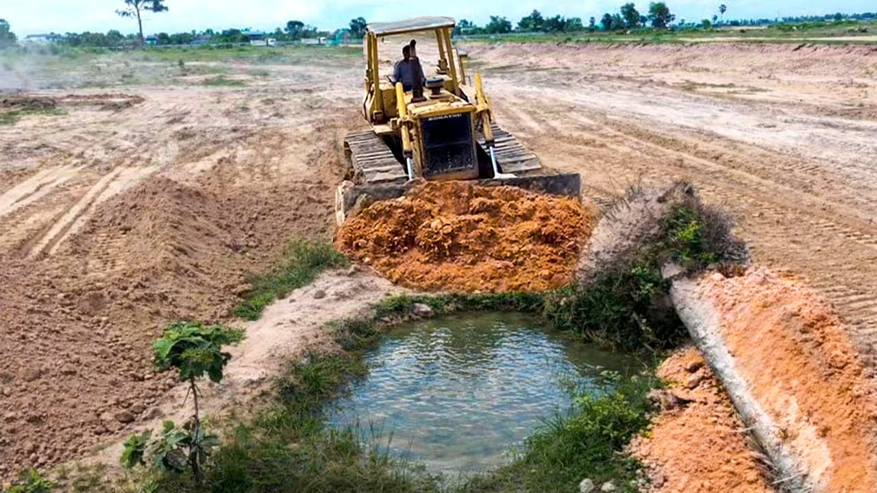 Wonderful Landfill ! Great Actions KOMATSU Dozer D41 Clear Palm Tree Into Pond Skill Truck 10 Wheels