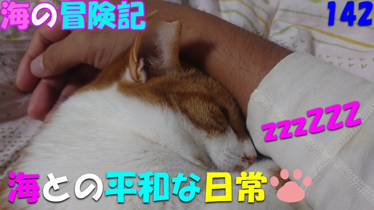 142　海とパパの平和な日常
