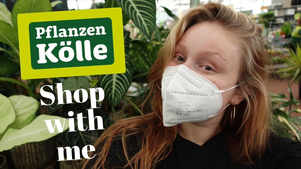 PFLANZEN Shop with me | Follow me around bei PFLANZEN KÖLLE 🪴 + HAUL ✨ *RARITÄTEN*