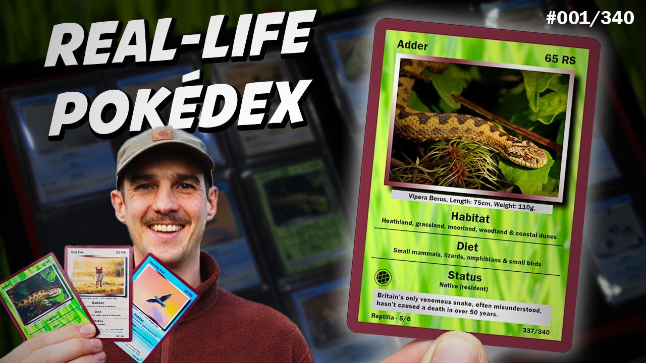 I'm completing a REAL-LIFE POKÉDEX (every UK animal)
