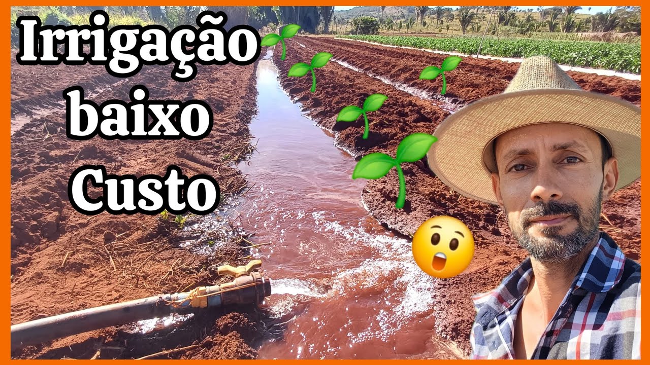 🌱💧Sistema de irrigação de baixo custo, irrigação em valas ou sulco de plantiu .